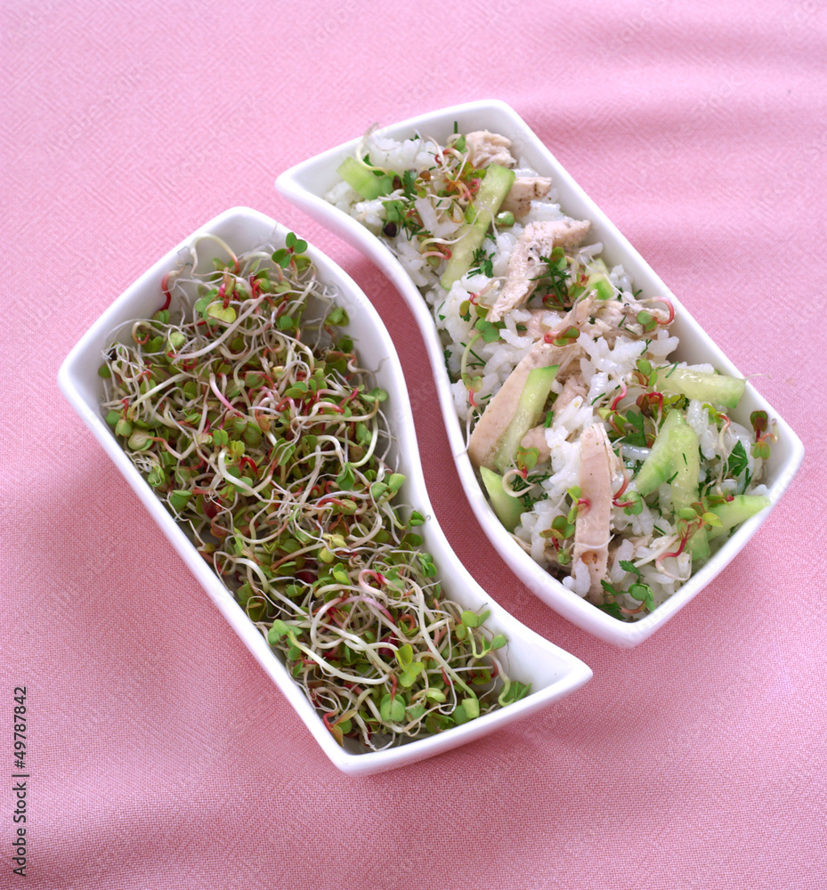 Spring salad with sprouts, rice, chicken, cucumber - obrazy, fototapety, plakaty 
