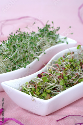 Fresh radish and alfalfa sprouts