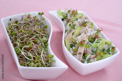 Spring salad with sprouts, rice, chicken, cucumber