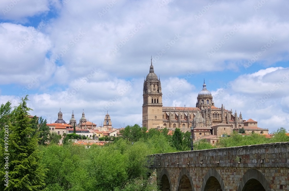 Salamanca Kathedrale 03