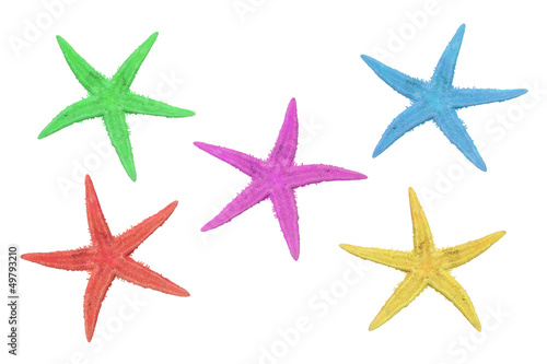 five colorful starfish on a white background