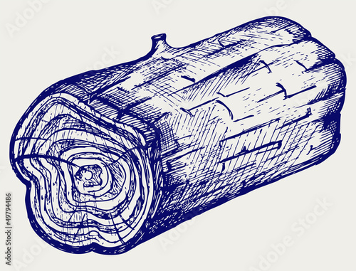 Cross section of tree stump. Doodle style