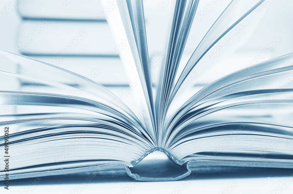 Naklejka premium open books