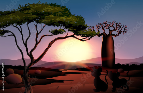 A sunset at the desert with animals