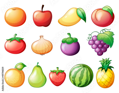 Different kinds of fruits