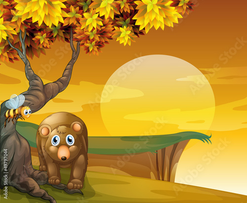 A sad bear and a bee near the cliff