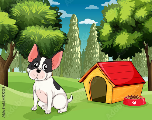 A dog near a doghouse with a dog food