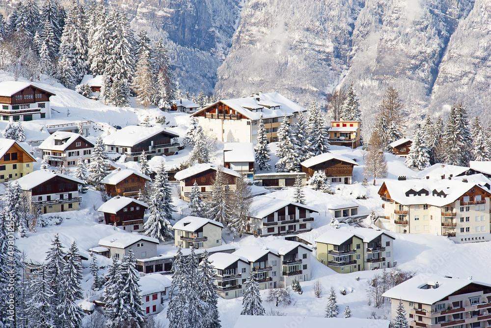 Fototapeta premium Skiing slope