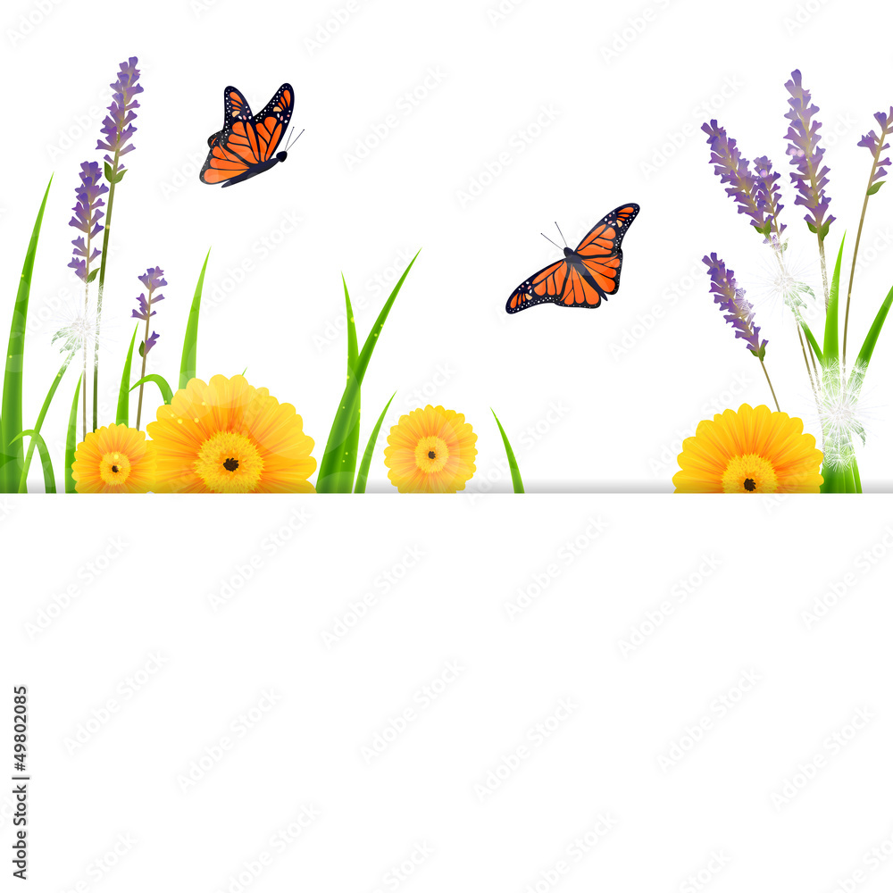 Vector Illustration of a Nature Background
