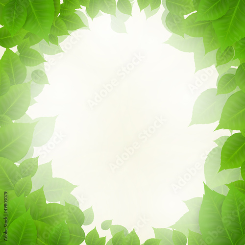 Vector Illustration of a Nature Background with Leaves