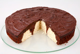 chocolate and coconut cake sliced