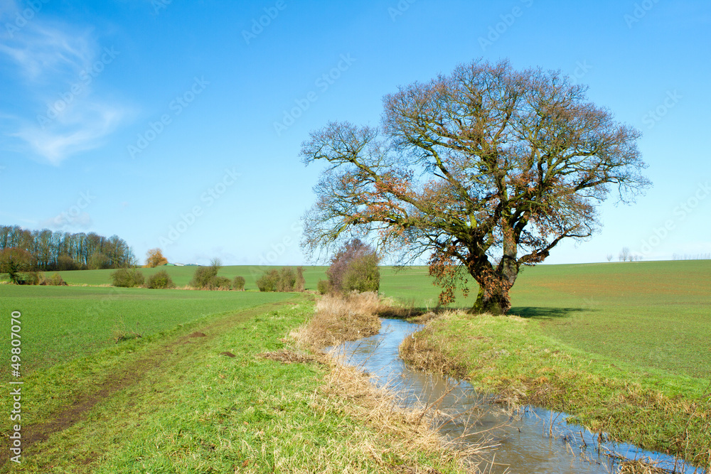 Obraz premium river running through english countryside