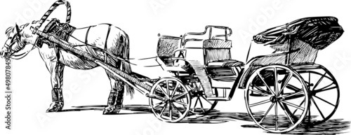 horse and carriage