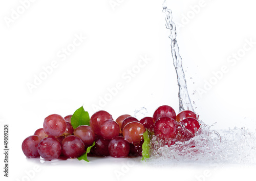 Grapes of red wine with water spalsh on white background