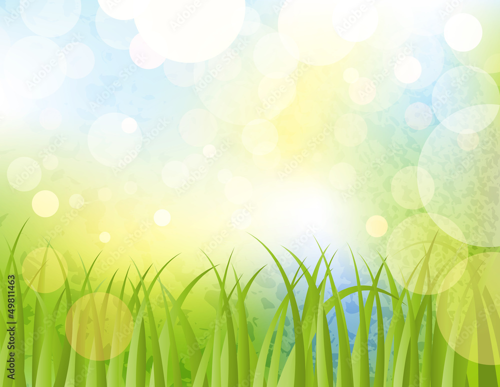 Obraz premium Spring or summer abstract nature background