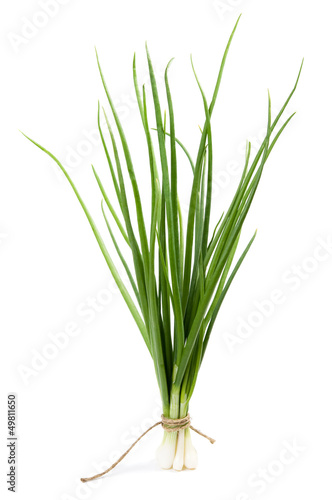 Green onion isolated
