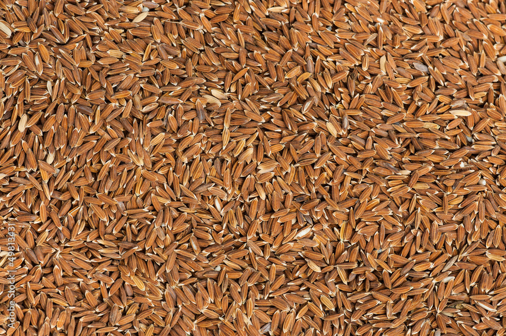 Paddy rice texture