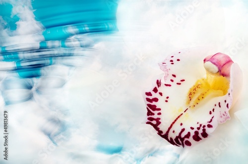 Fototapeta Naklejka Na Ścianę i Meble -  Orchid on water.