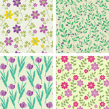 Seamless floral patterns collection