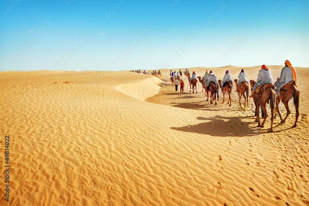 Sahara desert - obrazy, fototapety, plakaty 