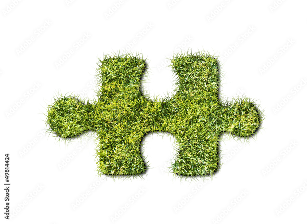 Puzzles from grass on white background Puzzles from grass on white background