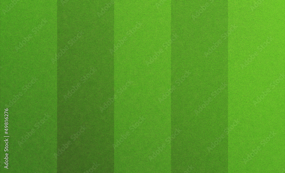 Fototapeta premium lawn stripes
