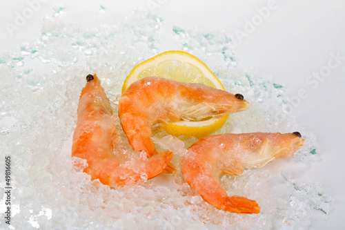 Shrimps on ice