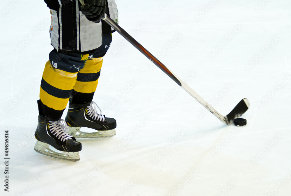 Obraz premium hockey player