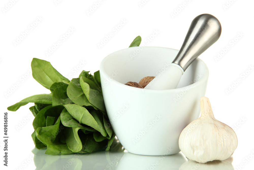 Mortar, herbs and garlic, isolated on white Mortar, herbs and garlic, isolated on white