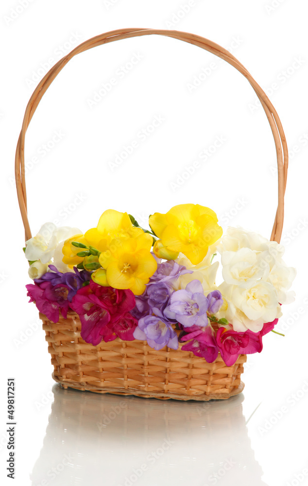 Beautiful bouquet of freesias in basket, isolated on white Beautiful bouquet of freesias in basket, isolated on white
