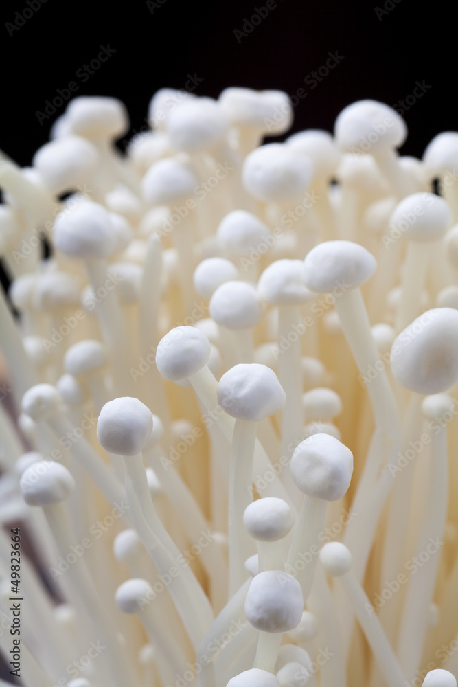 Enoki mushrooms Enoki mushrooms