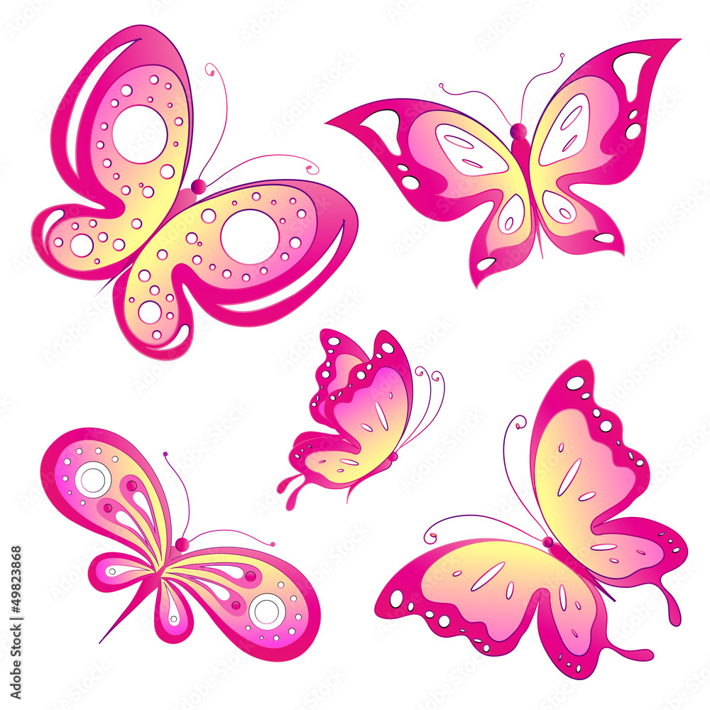 Obraz premium butterfly,butterflies vector
