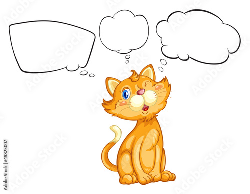 A cat blinking his eye