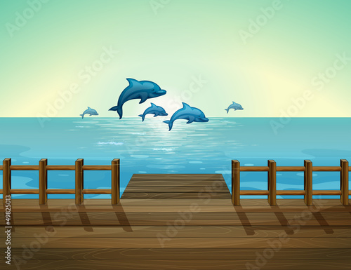 Six dolphins diving