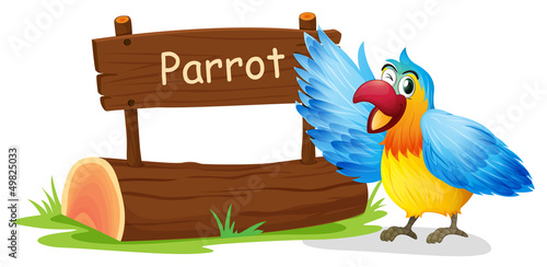 A colorful parrot blinking his eye