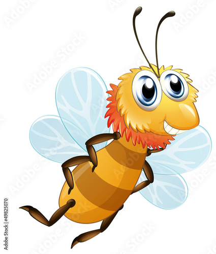 A bee smiling