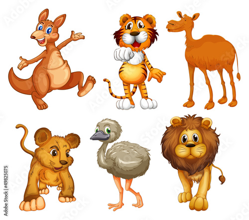 A group of wild animals