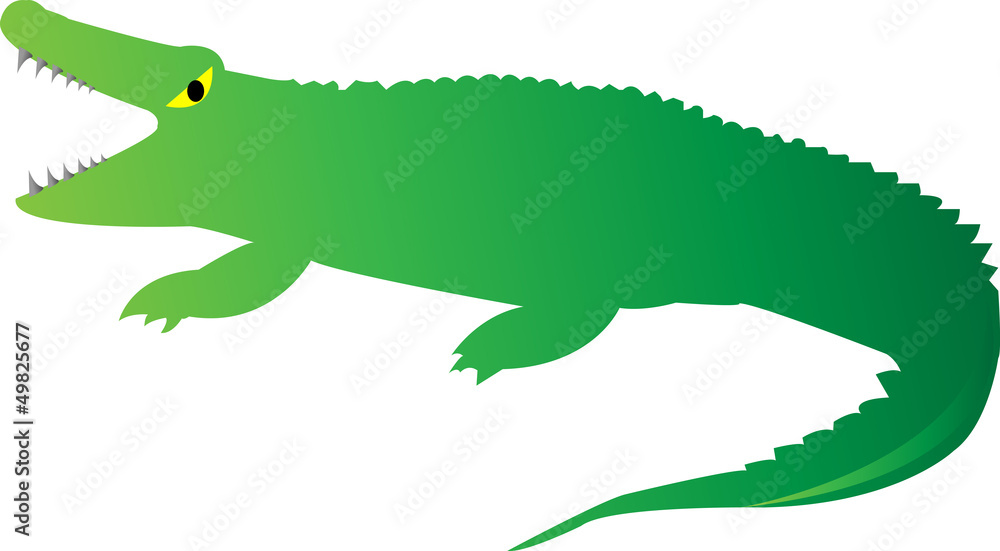 Obraz premium Cute Looking a Crocodile on white background