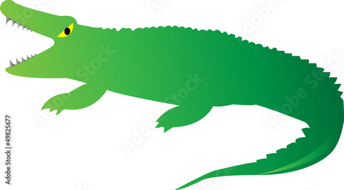 Cute Looking a Crocodile on white background