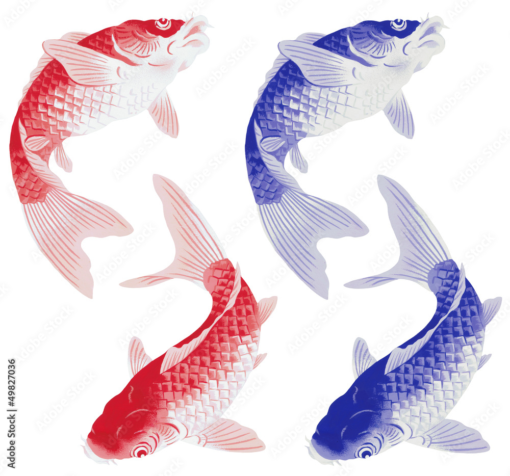 日本画調の鯉 Stock イラスト Adobe Stock