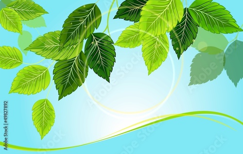 Spring background with leaves