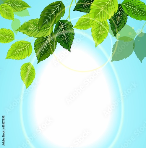 Easter egg on spring background