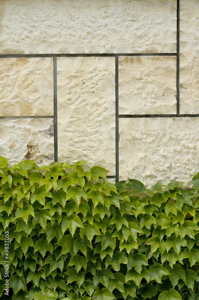 stone wall dotted with wine stone wall dotted with wine
