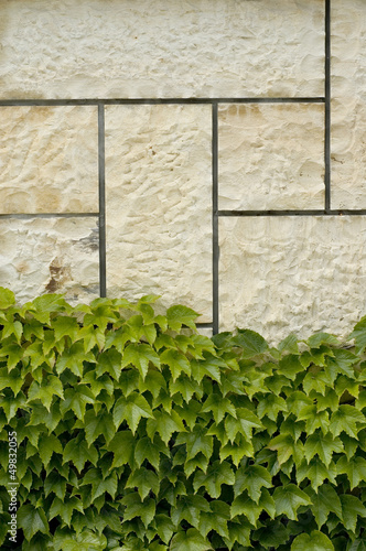 stone wall dotted with wine