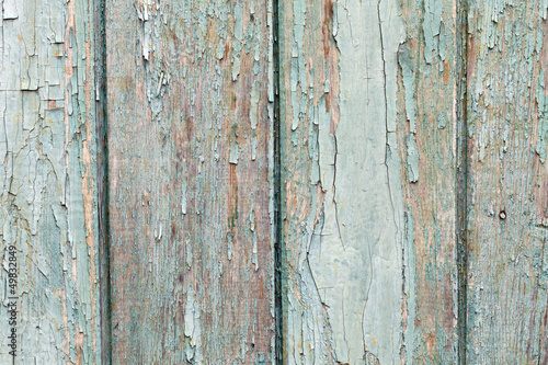 Texture of wood © DC Studio