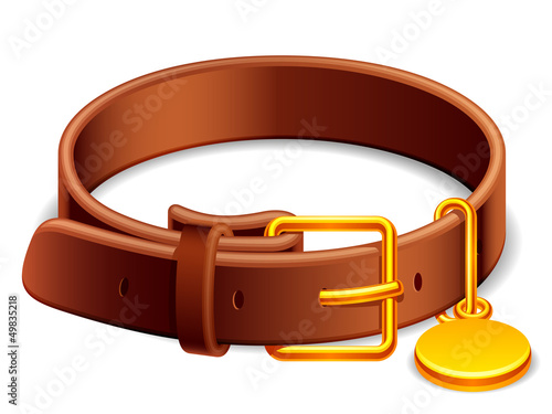 Leather dog collar with a golden buckle.