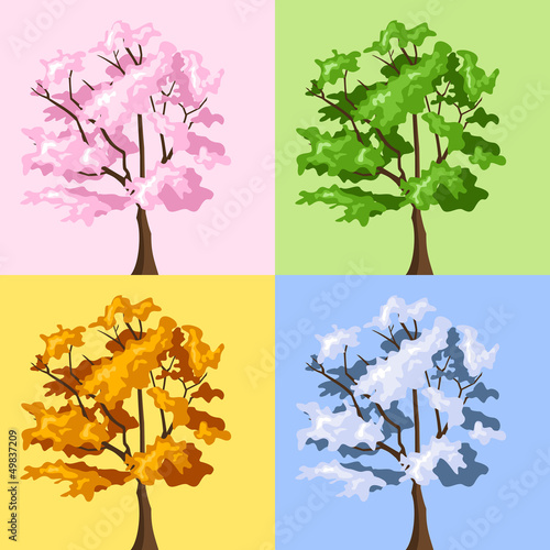 Four season trees. Vector illustration.