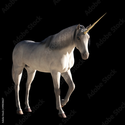 Unicorn