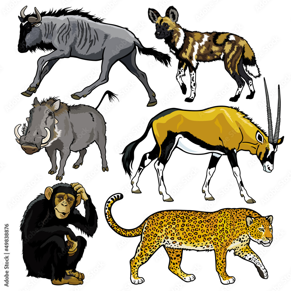 Obraz premium set with animals of africa
