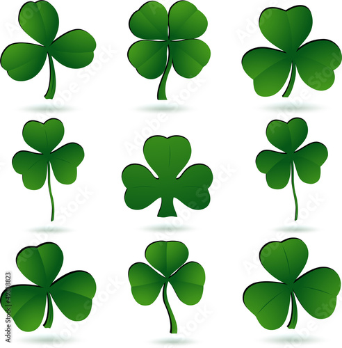 Shamrock set on white.